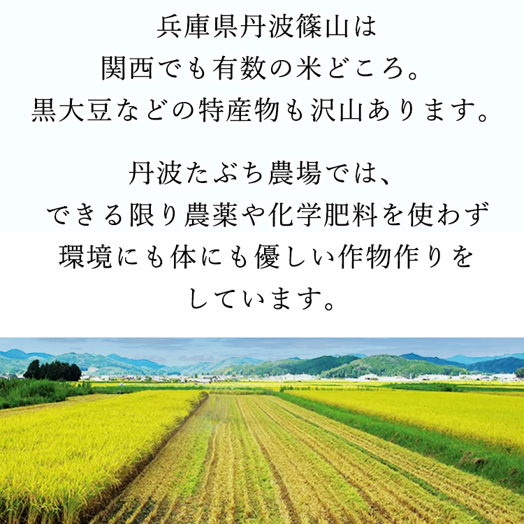 特別栽培米 コシヒカリ 丹波たぶち農場 兵庫県 丹波篠山産 選べる精米方法