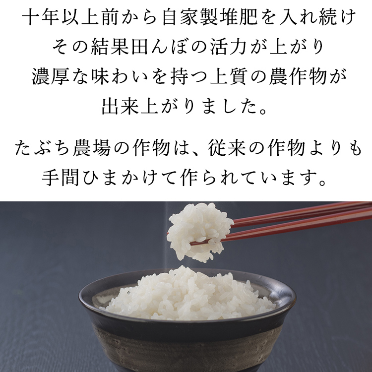 特別栽培米 コシヒカリ 丹波たぶち農場 兵庫県 丹波篠山産 選べる精米方法