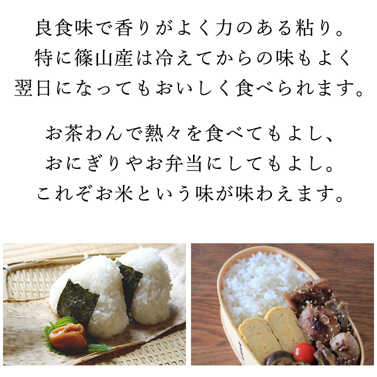 特別栽培米 コシヒカリ 丹波たぶち農場 兵庫県 丹波篠山産 選べる精米方法